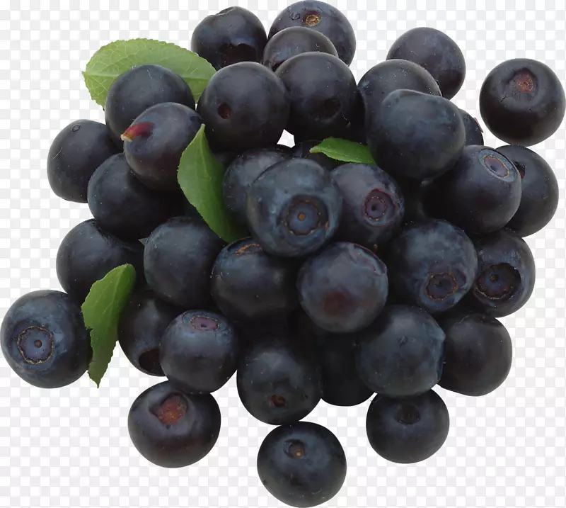 欧洲蓝莓-蓝莓果实