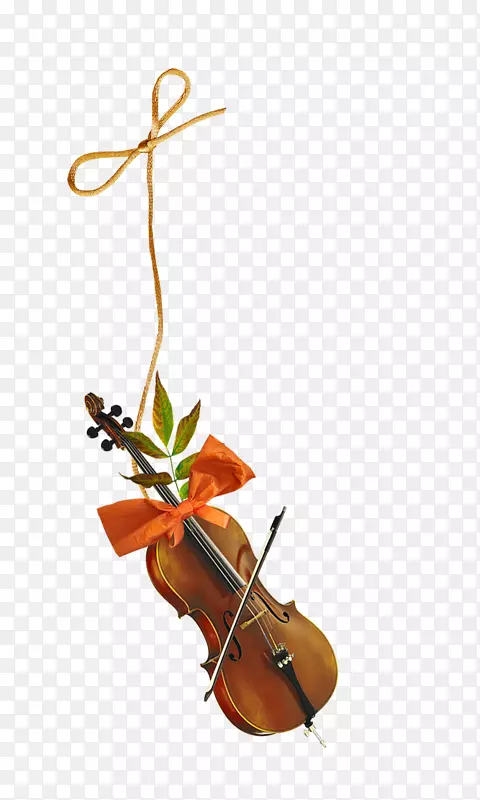 大提琴小提琴中提琴乐器小提琴