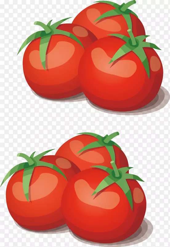 番茄蔬菜烹饪食品-番茄组合