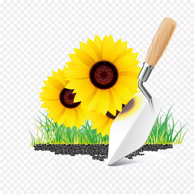 园艺工具-向日葵