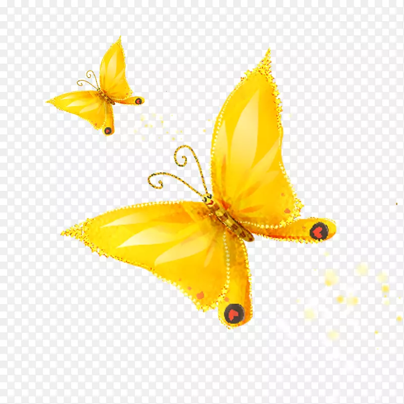 蝴蝶画卡通-黄色卡通蝴蝶