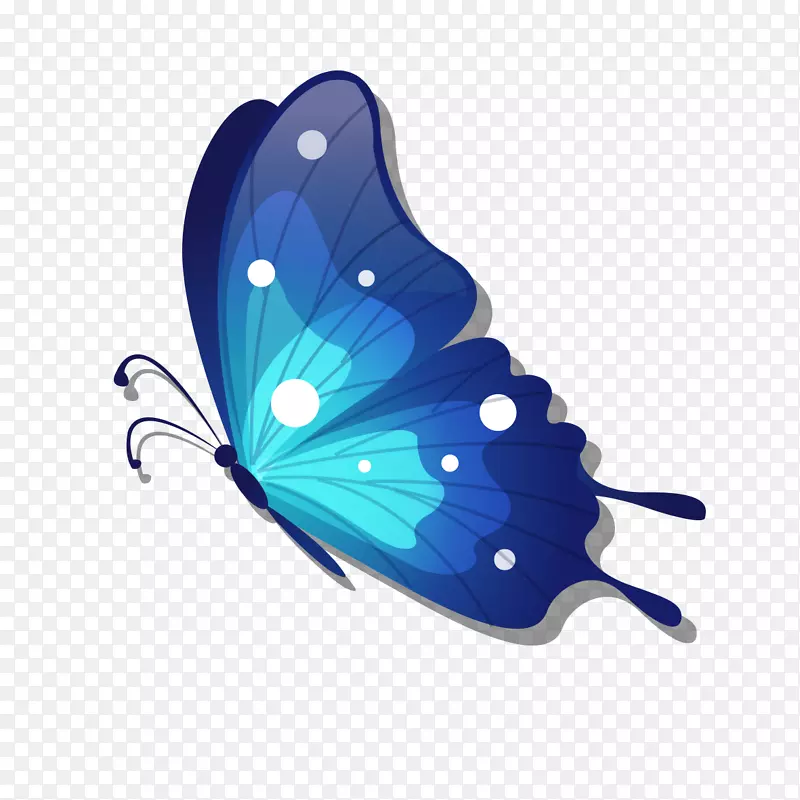 蝴蝶若虫科剪贴画-蓝色蝴蝶图案