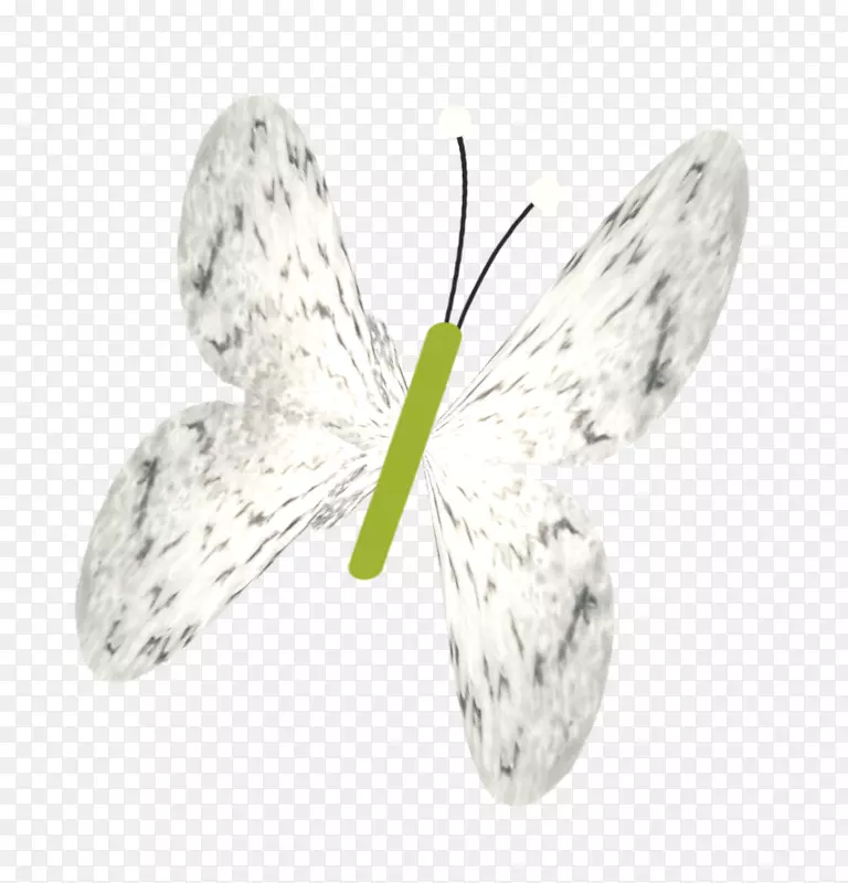 杀虫蝴蝶-白蝶