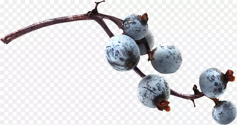 蓝莓果汁剪辑艺术-蓝莓水果