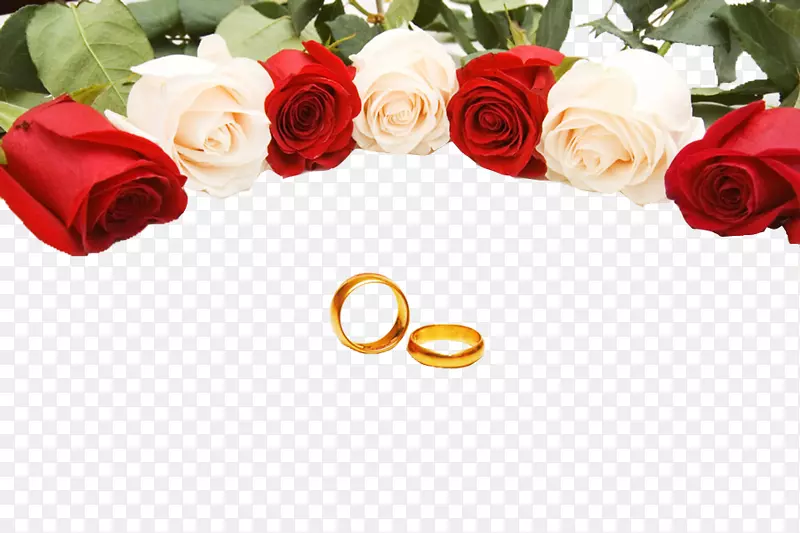 婚戒玫瑰摄影.结婚戒指