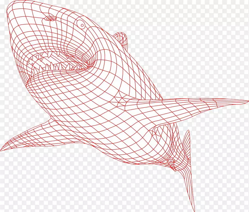 鲨鱼三维计算机图形.3D红鲨