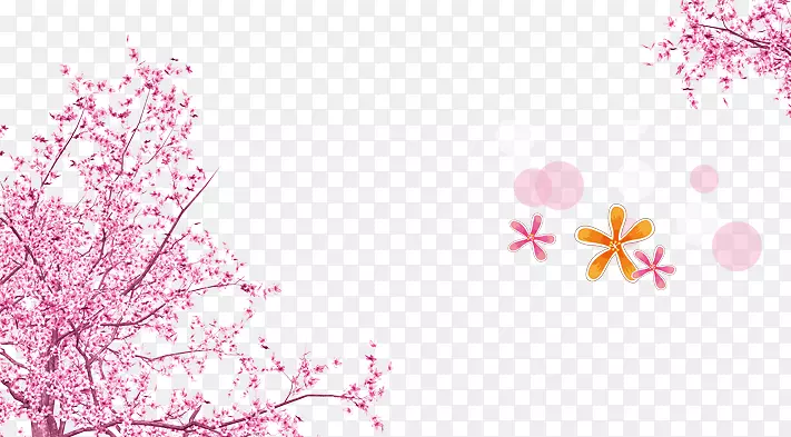 粉色樱花墙纸-樱花