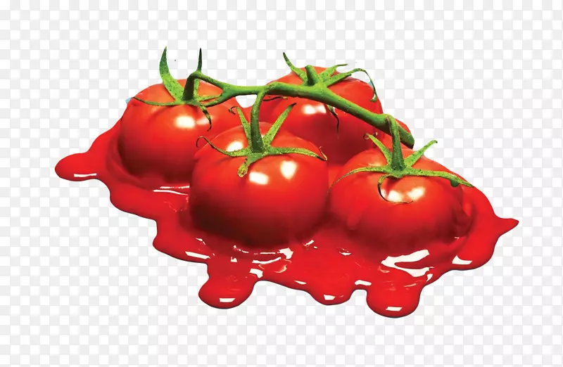 卡尔加里农民市场广告公司-融化的西红柿