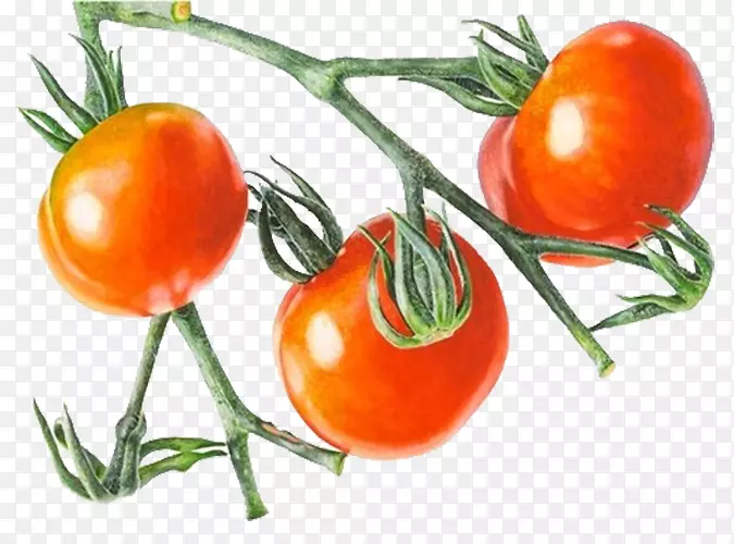 樱桃番茄蔬菜图-红番茄