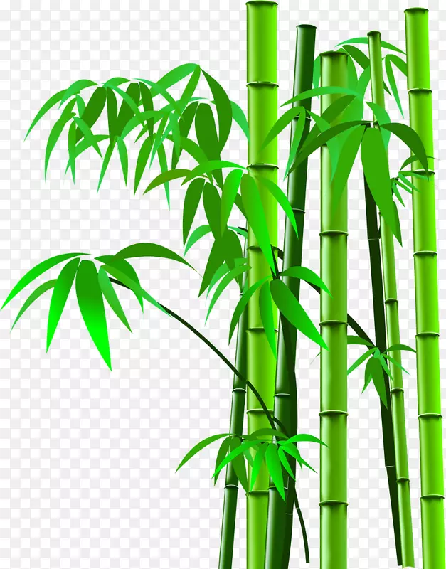 竹子图像扫描器-卡通竹图片竹子剪影，竹子