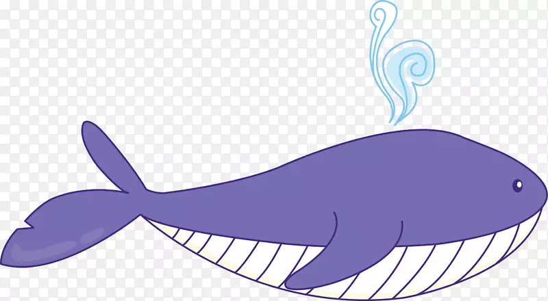 鲸鱼绘图-卡通鲸