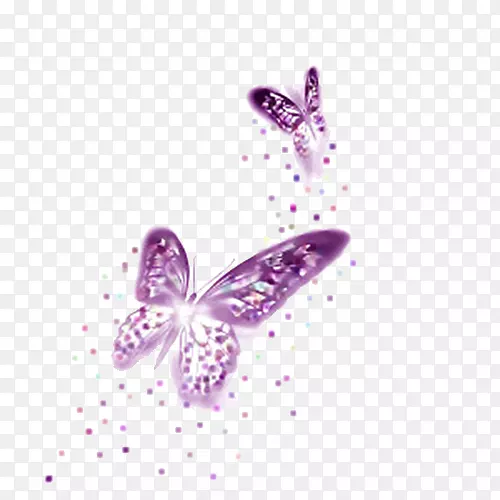 蝴蝶紫色-紫色蝴蝶