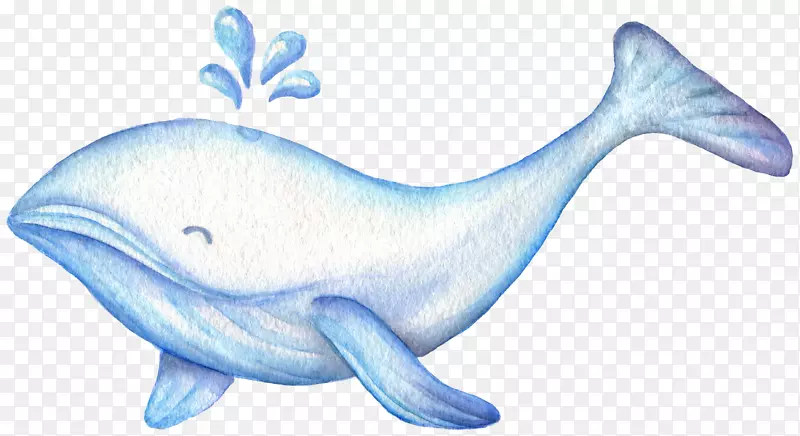 水彩画可爱插图.水墨手绘精灵鲸