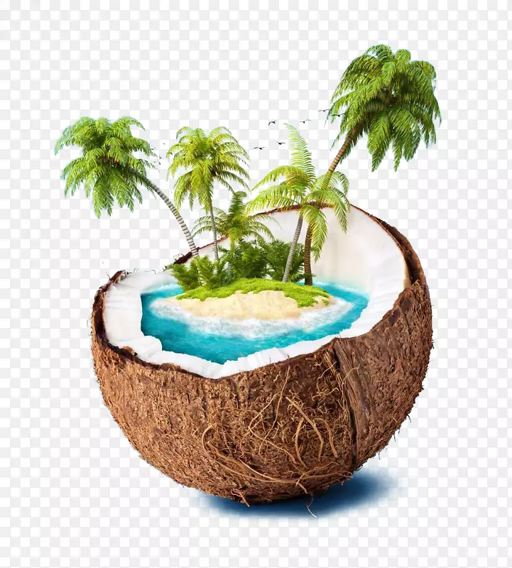 椰子岛椰子水高清电视壁纸创意椰子棕榈