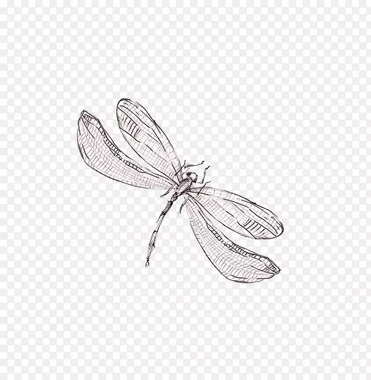 蜻蜓平面设计-生美手绘蜻蜓系