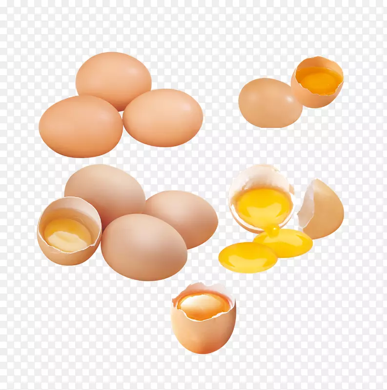 蛋鸡蛋壳