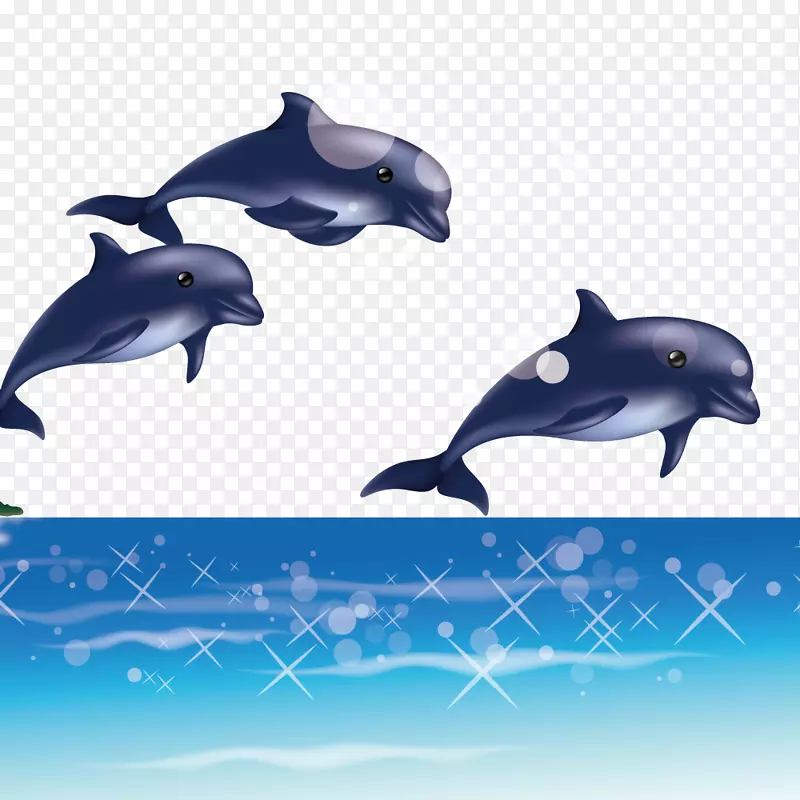 海豚-海豚跳出大海