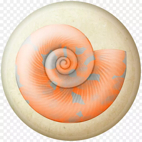 水彩画蜗牛夹艺术水彩画蜗牛