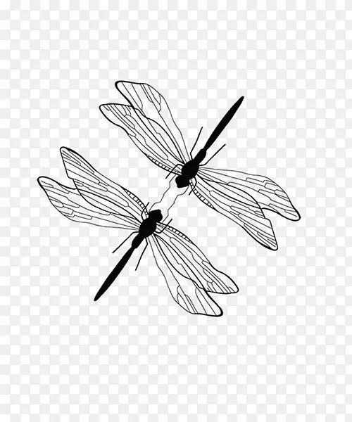 下载蜻蜓-涂上黑色木棍造型的蜻蜓