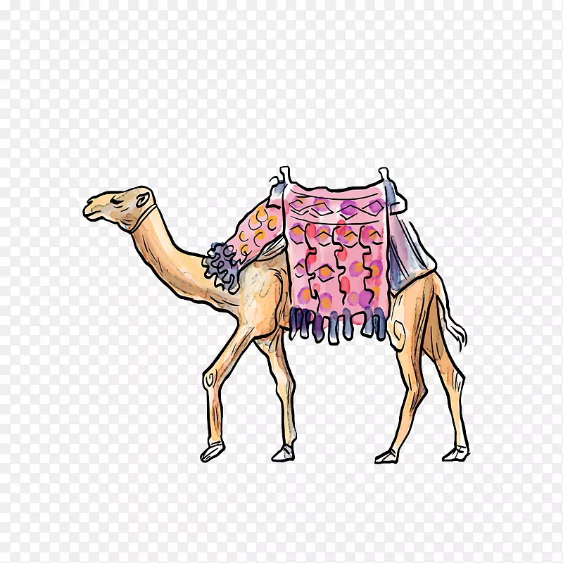 骆驼卡通.手绘卡通骆驼
