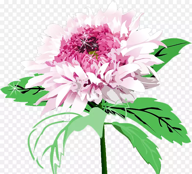 花卉设计菊花切花.菊花