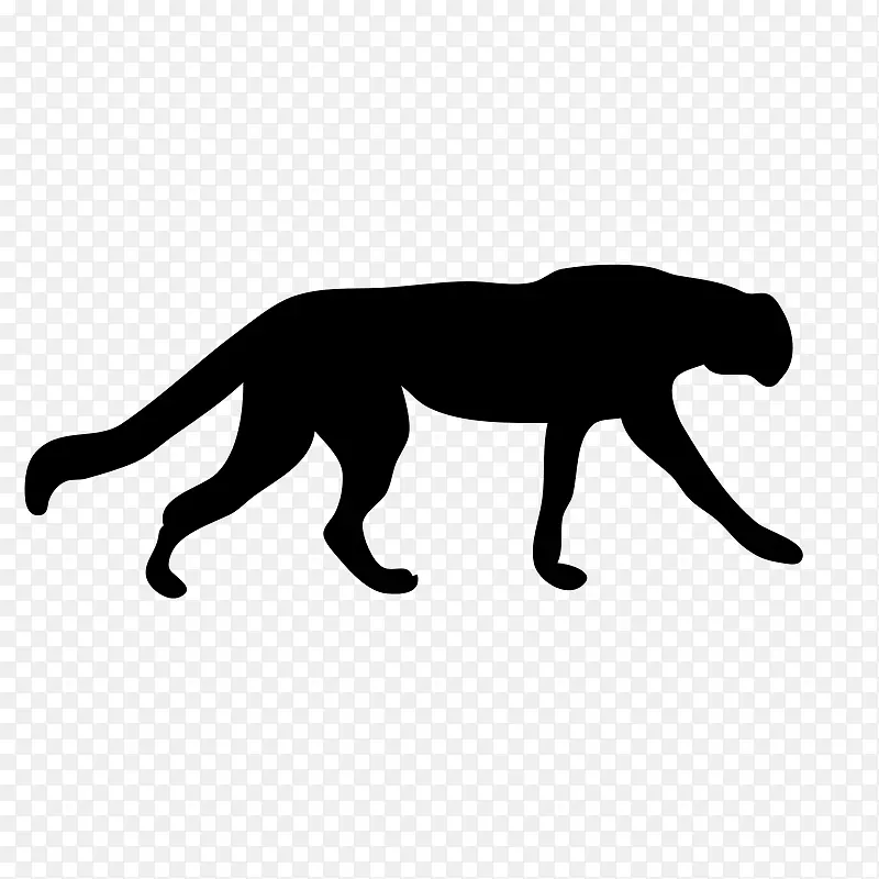 猎豹美洲豹猫科豹黑豹卡通猎豹图片