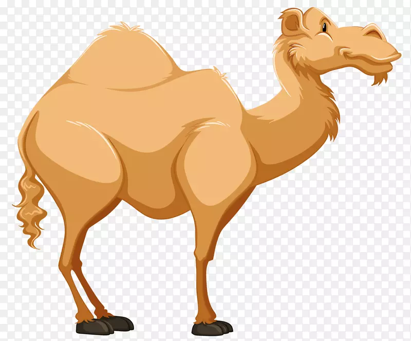 滴水卡通腾格沙漠剪贴画-骆驼