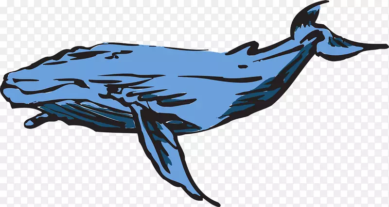 露脊鲸蓝鲸剪贴画-蓝鲸