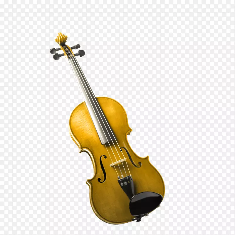 小提琴乐器大提琴管弦乐队小提琴