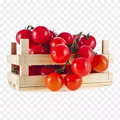 蔬菜番茄果红番茄