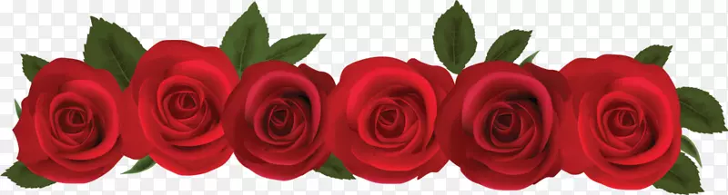 玫瑰花夹艺术-红玫瑰模板下载