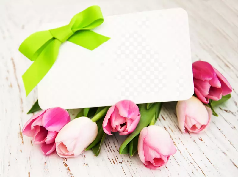 花园玫瑰纸郁金香花-美丽的郁金香和卡片