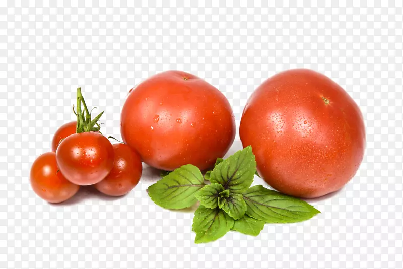 蔬菜番茄水果和蔬菜食品.载体番茄