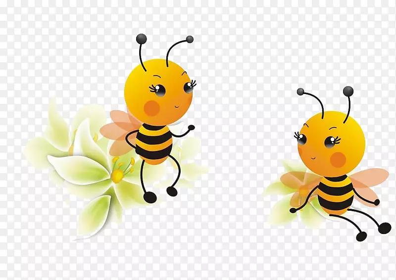 贵州蜜蜂
