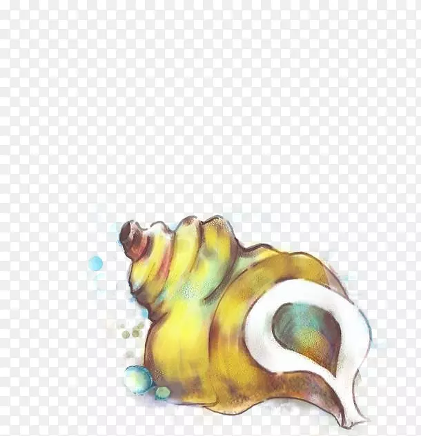海鲜手绘海螺
