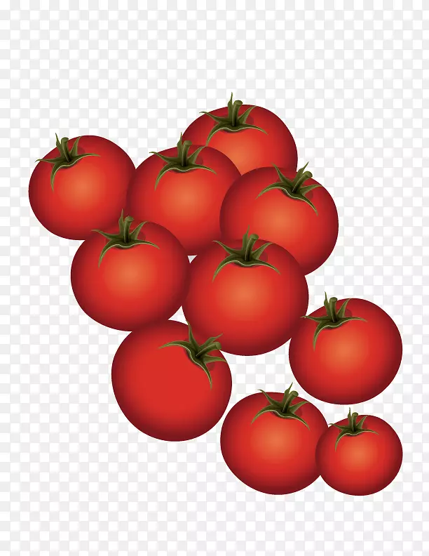 李子番茄灌丛成熟番茄