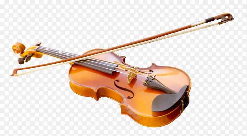 小提琴乐器海报-小提琴花瓣飘浮的泡泡-简朴优雅的树叶
