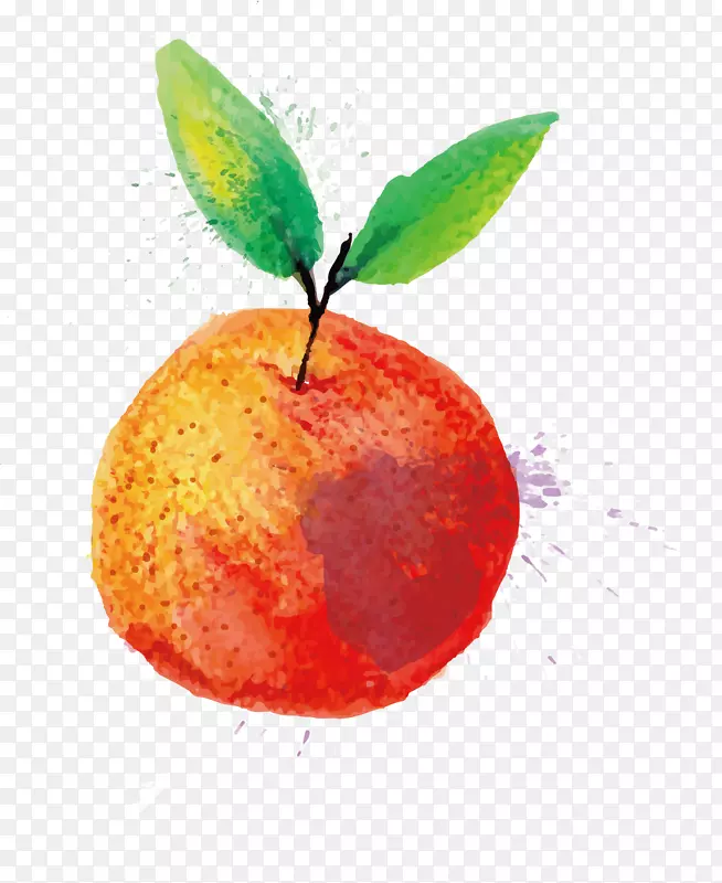 水彩画水果水彩苹果