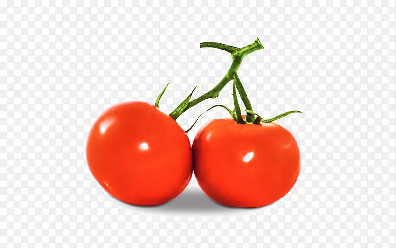 番茄汁素菜浆果红番茄
