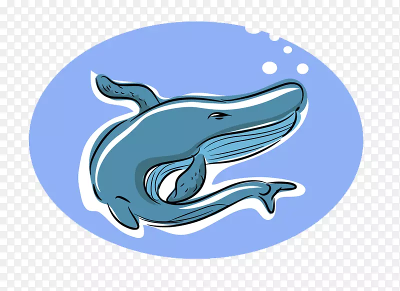 海豚鲨鲸插图-蓝鲨设计