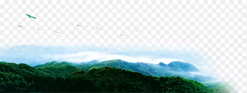 白昼天空，能量，阳光，墙纸，树山