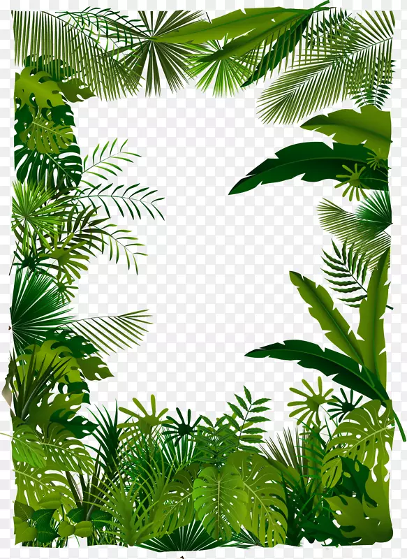 热带森林树插图-树