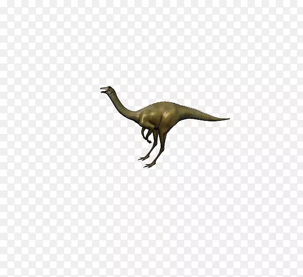 颈鸟普通鸵鸟-深色恐龙