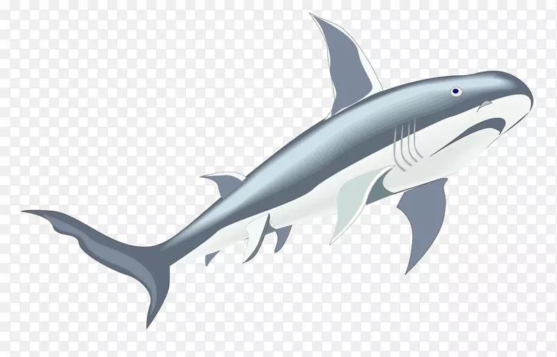 虎鲨海洋生物鲸鱼大鲸材料