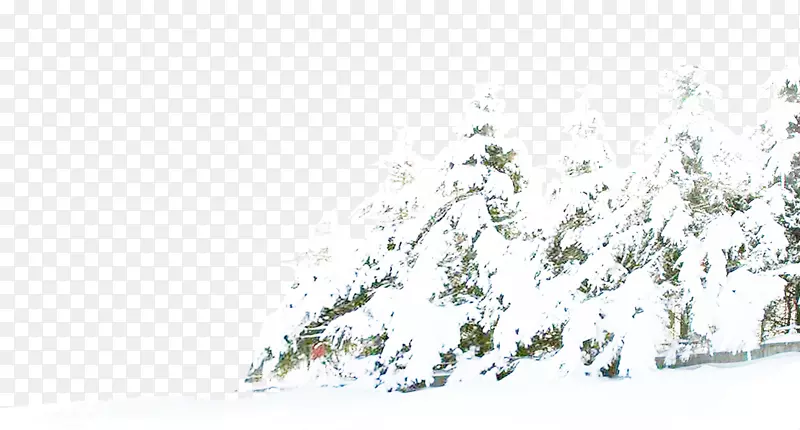 松冬雪树