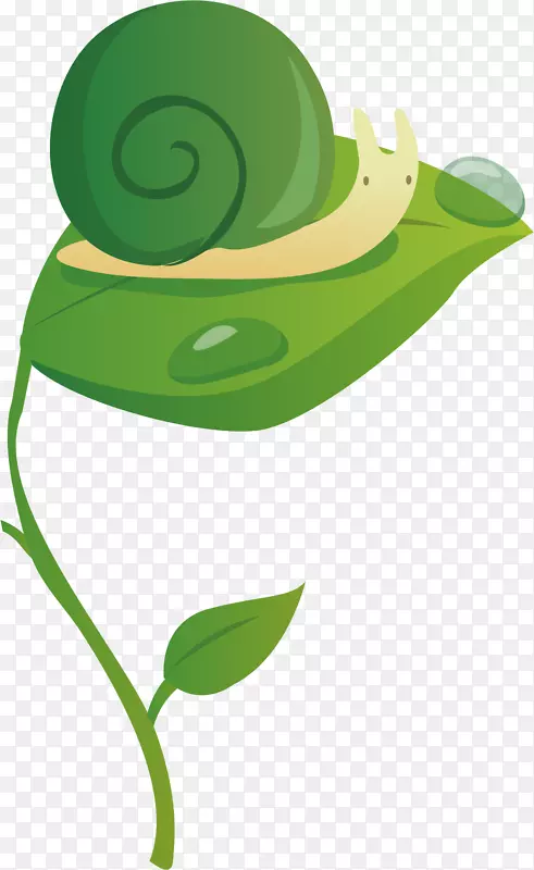 剪贴画-绿色蜗牛