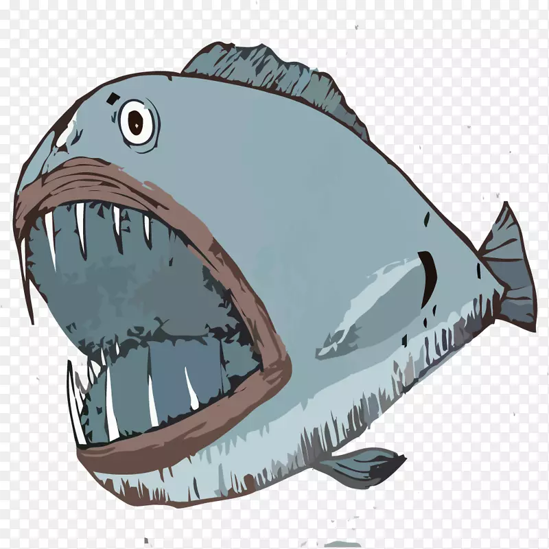 虎鲨插图-手绘鲨鱼