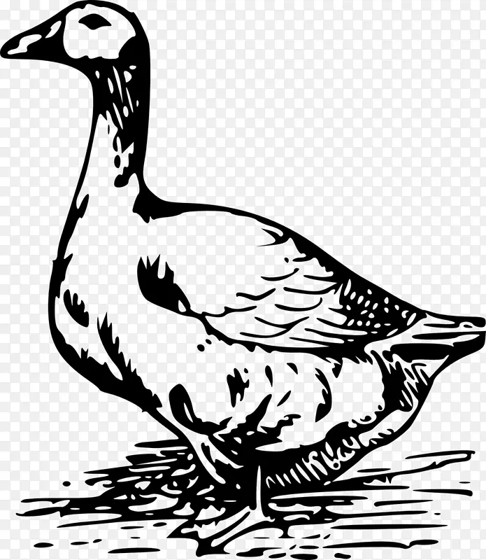 鹅黑白画片艺术-鸭子