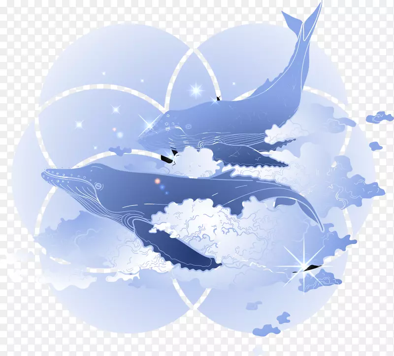 座头鲸蓝紫色鲸
