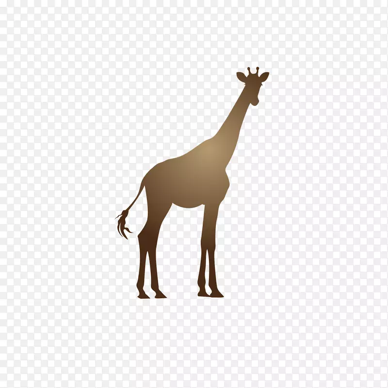 长颈鹿颈动物图案卡通长颈鹿